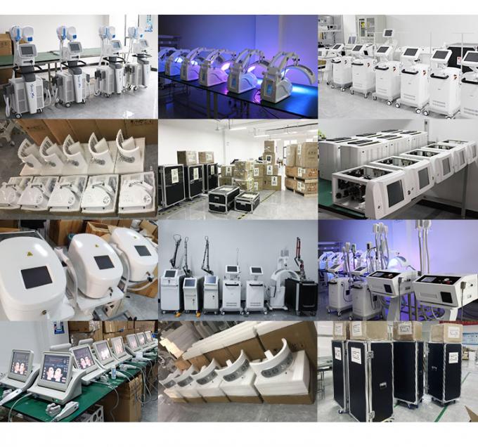 δροσίζοντας μηχανή δερμάτων μηχανών -20c Cryotherapy Zimmer 800w Cryotherapy του προσώπου 14