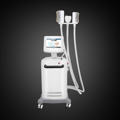 3 μηχανή αδυνατίσματος Cryotherapy 360 βαθμού λαβών μη της εισβολής