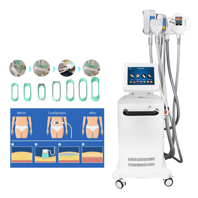 Δροσίζοντας μηχανή αδυνατίσματος Cryolipolysis γλυπτών για την παχιά μείωση