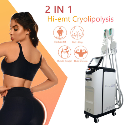 Μηχανή 360 Cryolipolyse EMS λίπος Cryo που παγώνει την αφαίρεση Cellulite