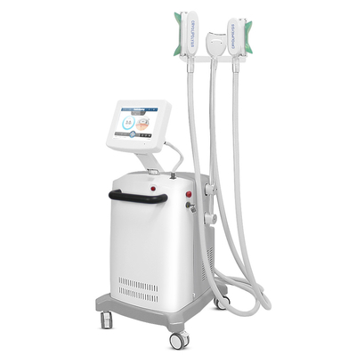 μηχανή αδυνατίσματος Cryolipolysis σώματος προσώπου 2000W 100kpa