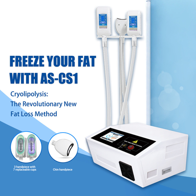 Φορητός παχύς ψυκτήρας Cryo μηχανών Cryolipolysis Lipo για τη διπλή παχιά αφαίρεση πηγουνιών