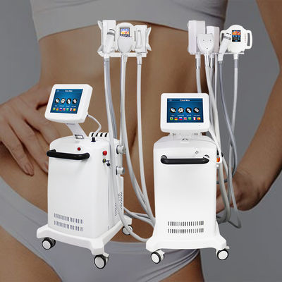 Παχιά λειώνοντας μηχανή Cryolipolysis 360 βαθμός
