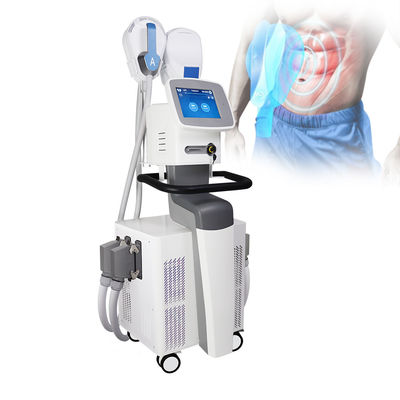 4 CE μηχανών λαβών EMS EMS SCULPTING πιστοποιημένο για το μυ Buliding αδυνατίσματος σώματος