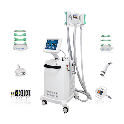 10.4 ίντσες χρωματική οθόνη αφής Cryo-lipo Slimming Machine για επαγγελματική μείωση λίπους