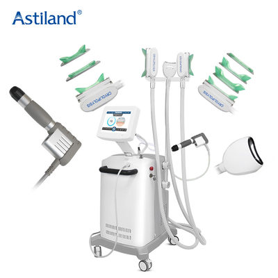Shockwave 2 αδυνατίσματος Cryolipolysis 1 Machine Aesthetics Spa στις προμήθειες