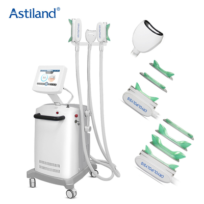 Ανώδυνη 3 λαβών Cryolipolysis παχιά παγώνοντας μηχανών αφαίρεση πηγουνιών σώματος διπλή